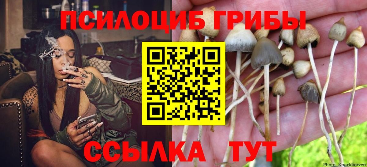 Галлюциногенные грибы прущие грибы  Вход с VPN  где продают наркотики  Псилоцибиновые грибы мухоморы  Железногорск 